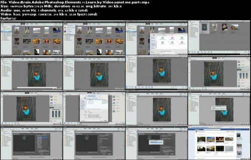 Adobe Photoshop Elements 11: Learn by Video Repost