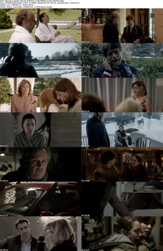 Human Capital 2013 LIMITED 720p BRRip x264-REMO