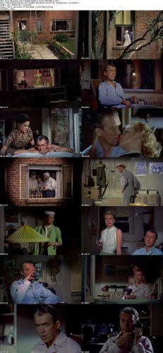 Rear Window 1954 1080p BluRay x264-AMIABLE