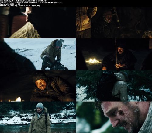 The Grey 2011 BDRip x264 AC3 RoSubbed-playSD