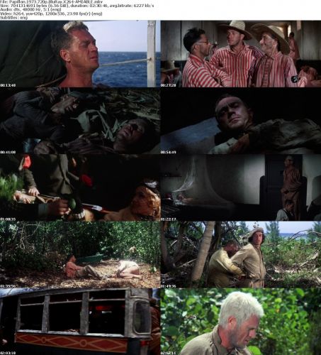 Papillon 1973 720p BluRay X264-AMIABLE