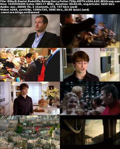 BSkyB - Daniel Radcliffe: Being Harry Potter (2015) 720p HDTV x264-MVGroup