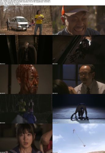 Zombie Ass The Toilet Of The Dead 2011 STV FRENCH 720p BluRay x264-DEAL