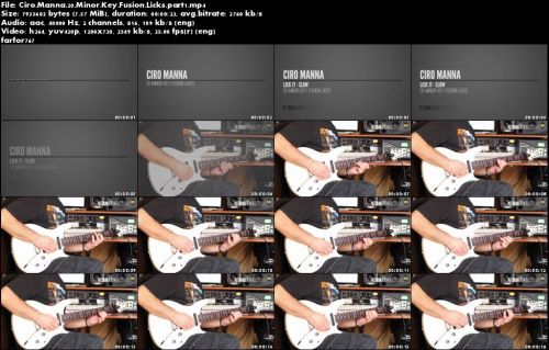 20 Minor Key Fusion Licks with Ciro Manna (2015)