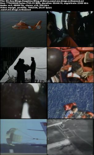 DC Wings - Sea Wings: Dauphine - Wing of Mercy (1994) DVDRip XviD AC3-MVGroup
