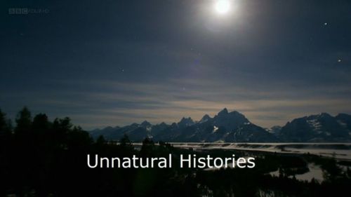 BBC - Unnatural Histories (2011) 720p HDTV x264-MVGroup