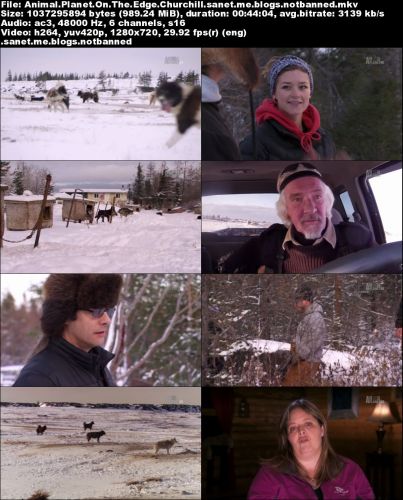 Animal Planet - On The Edge Churchill (2015) 720p HDTV x264-CBFM
