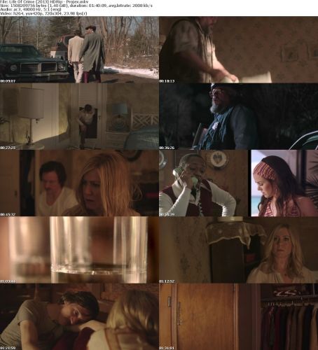 Life Of Crime 2013 HDRip Projex