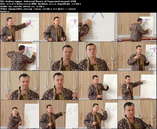 Universal Andrey Lappa - Theory Of Yoga - Level 1