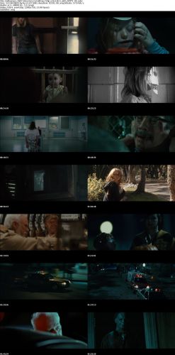 Halloween 2007 Directors Cut BRrip 720p x264 AC3 6Ch ZIPPY-UG