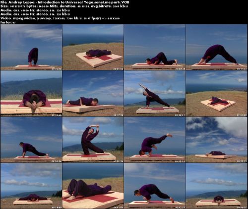 Andrey Lappa - Introduction to Universal Yoga