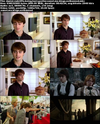 Sky - Daniel Radcliffe: Being Harry Potter (2015) 720p HDTV x264-C4TV