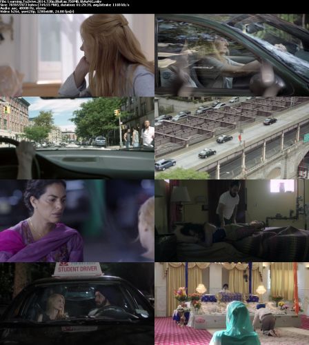 Learning To Drive 2014 720p BluRay 750MB-ShAaNiG