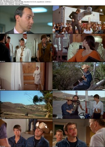 The Born Losers (1967)