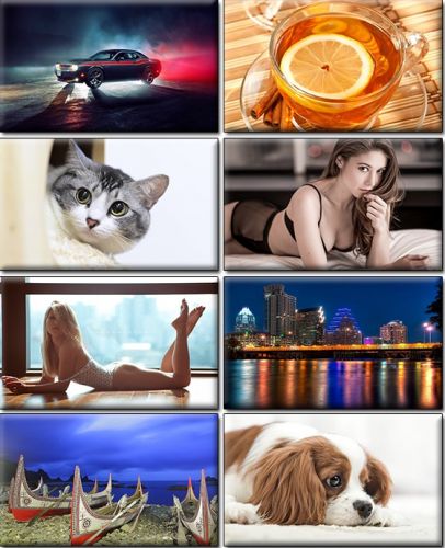 Computer Desktop Wallpapers Collection. Part (1364)