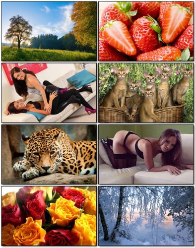 Wallpapers Collection #192