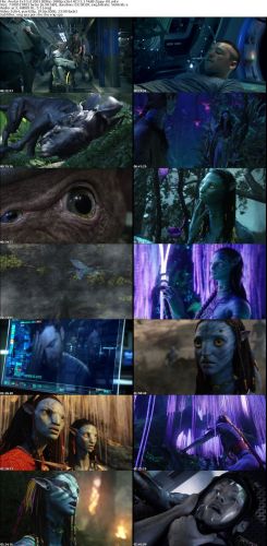Avatar 2009 BDRip 1080p x264 AC3 5.1 Multi Zippy-UG