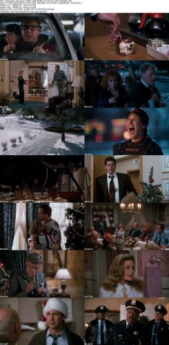 Christmas Vacation 1989 720p BluRay FLAC2.0 x264-VietHD