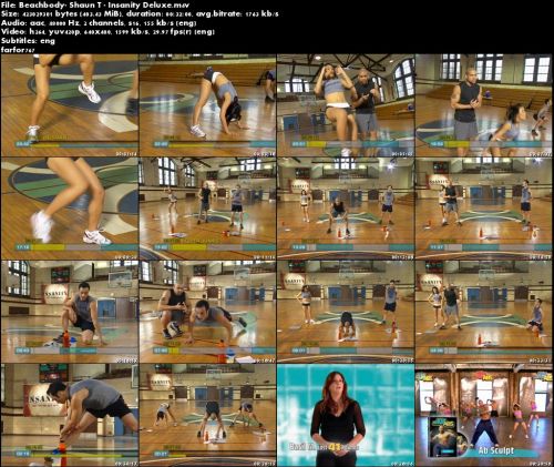 Beachbody - Insanity Deluxe with Shaun T