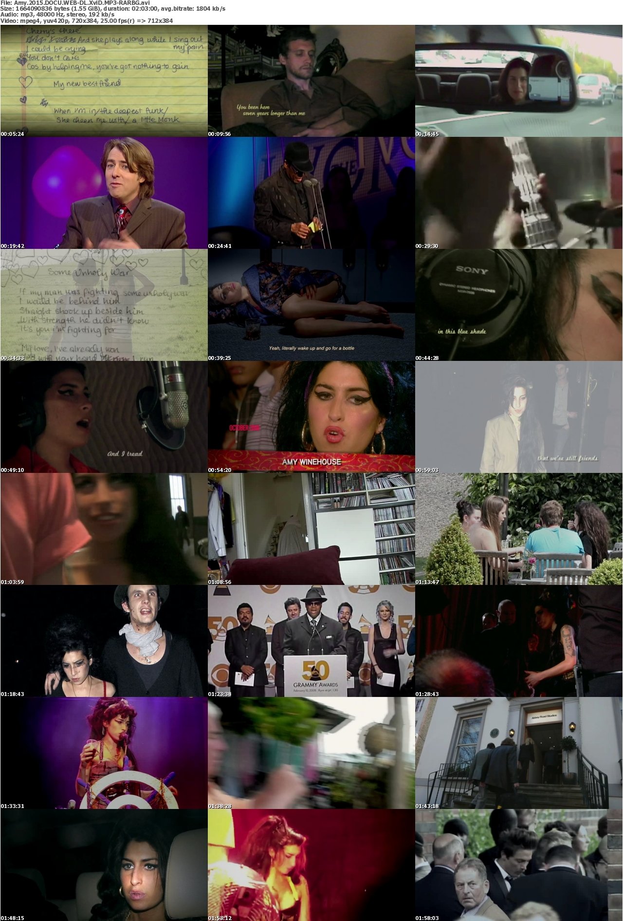 Amy 2015 DOCU WEB-DL XviD MP3-RARBG