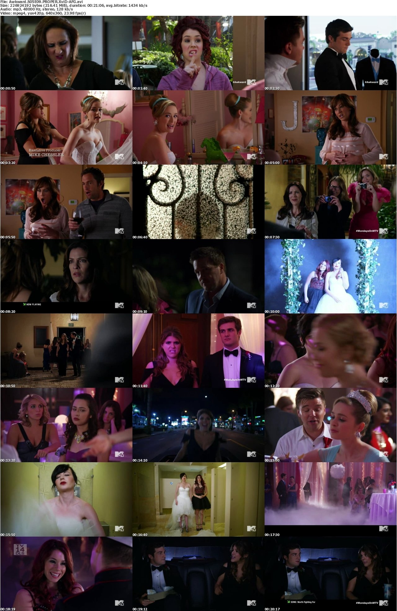 Awkward S05E09 PROPER XviD-AFG
