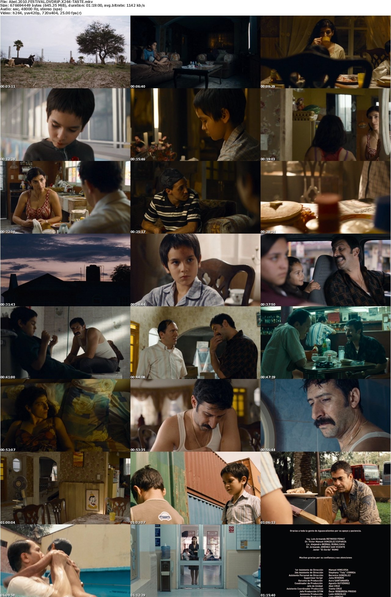 Abel 2010 FESTiVAL DVDRiP X264-TASTE