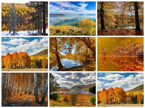 50 Beautiful Autumn HD Wallpapers Set #12