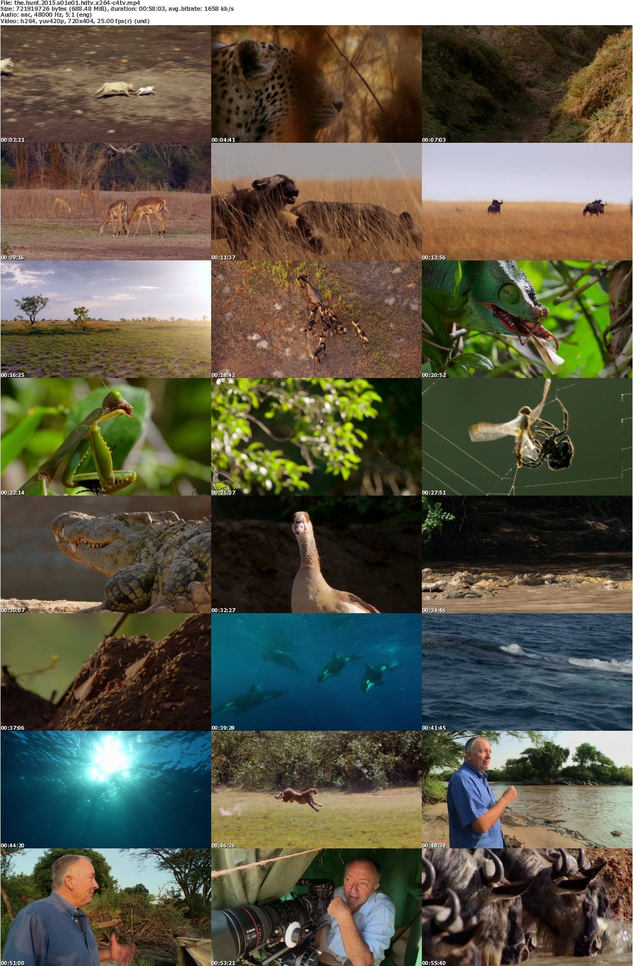The Hunt 2015 S01E01 HDTV x264-C4TV