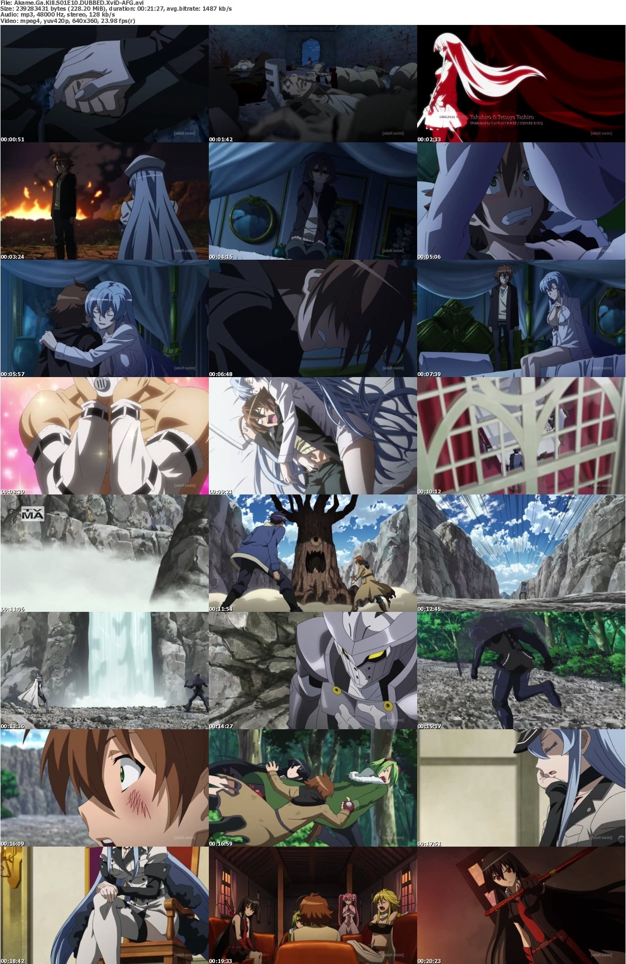 Akame Ga Kill S01E10 DUBBED XviD-AFG