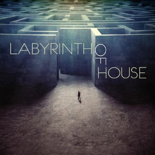 VA - Labyrinth of House (2015)