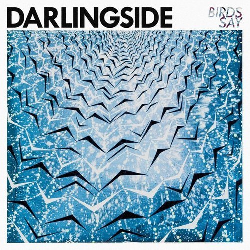 Darlingside - Birds Say (2015) 320 kbps - Lossless