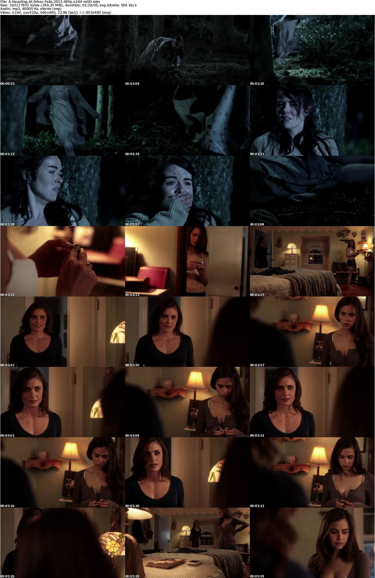 A Haunting At Silver Falls 2013 480p x264-mSD