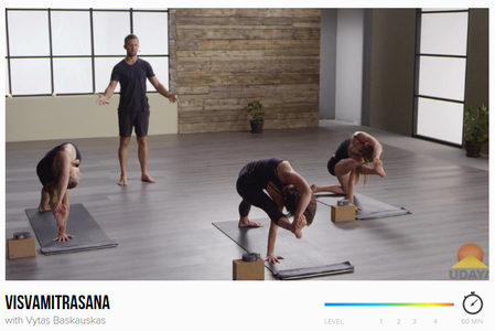 Visvamitrasana with Vytas Baskauskas (2015)