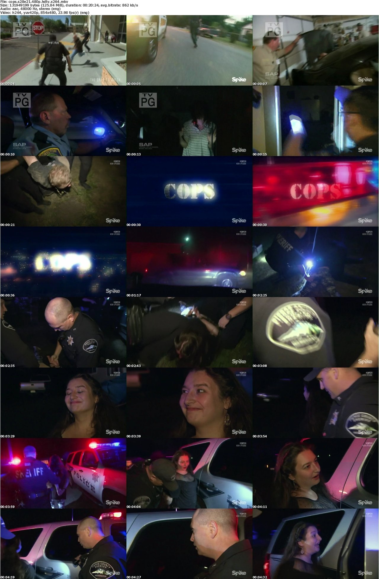 Cops S28E21 480p HDTV x264