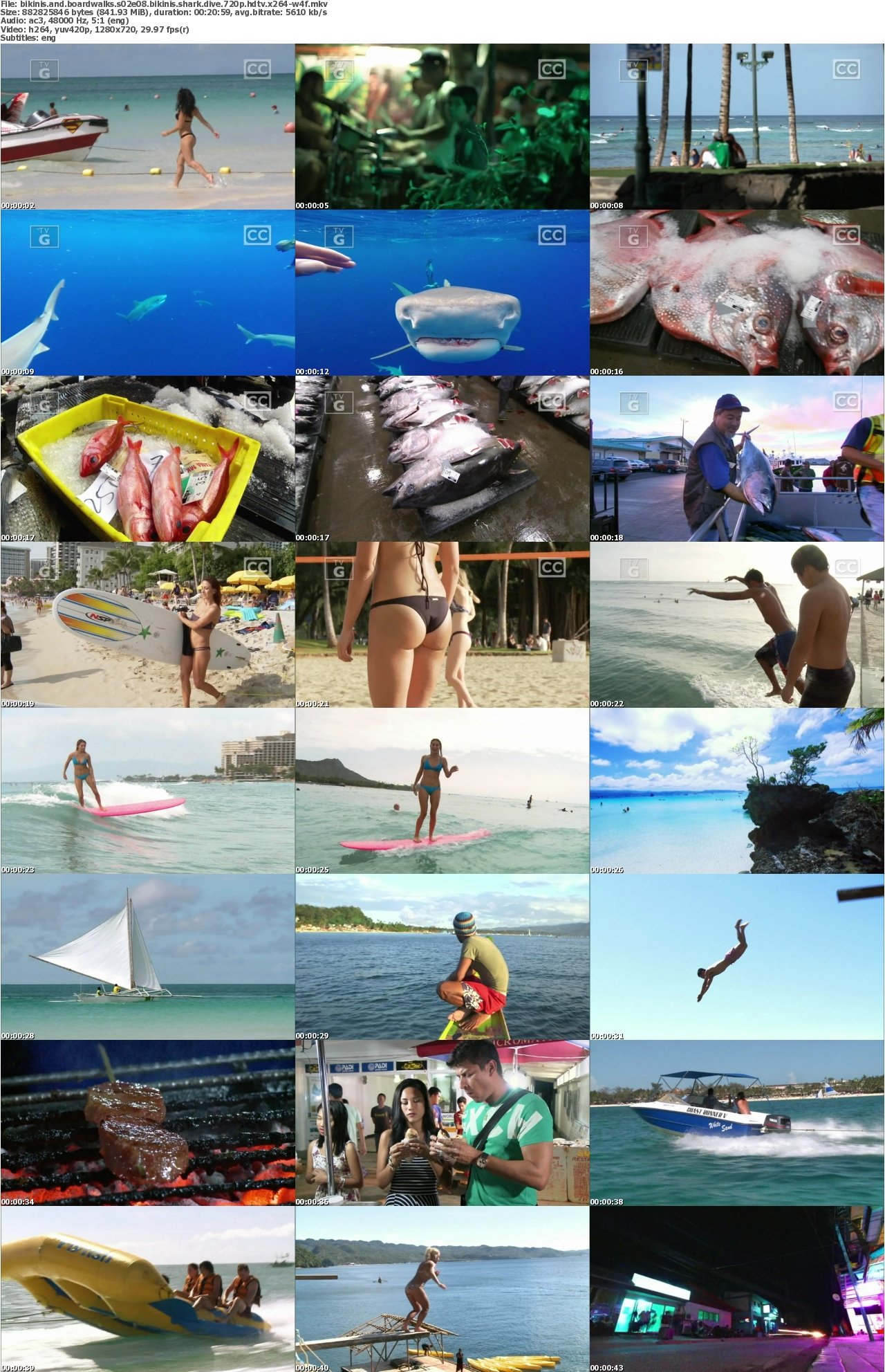 Bikinis and Boardwalks S02E08 Bikinis Shark Dive 720p HDTV x264-W4F