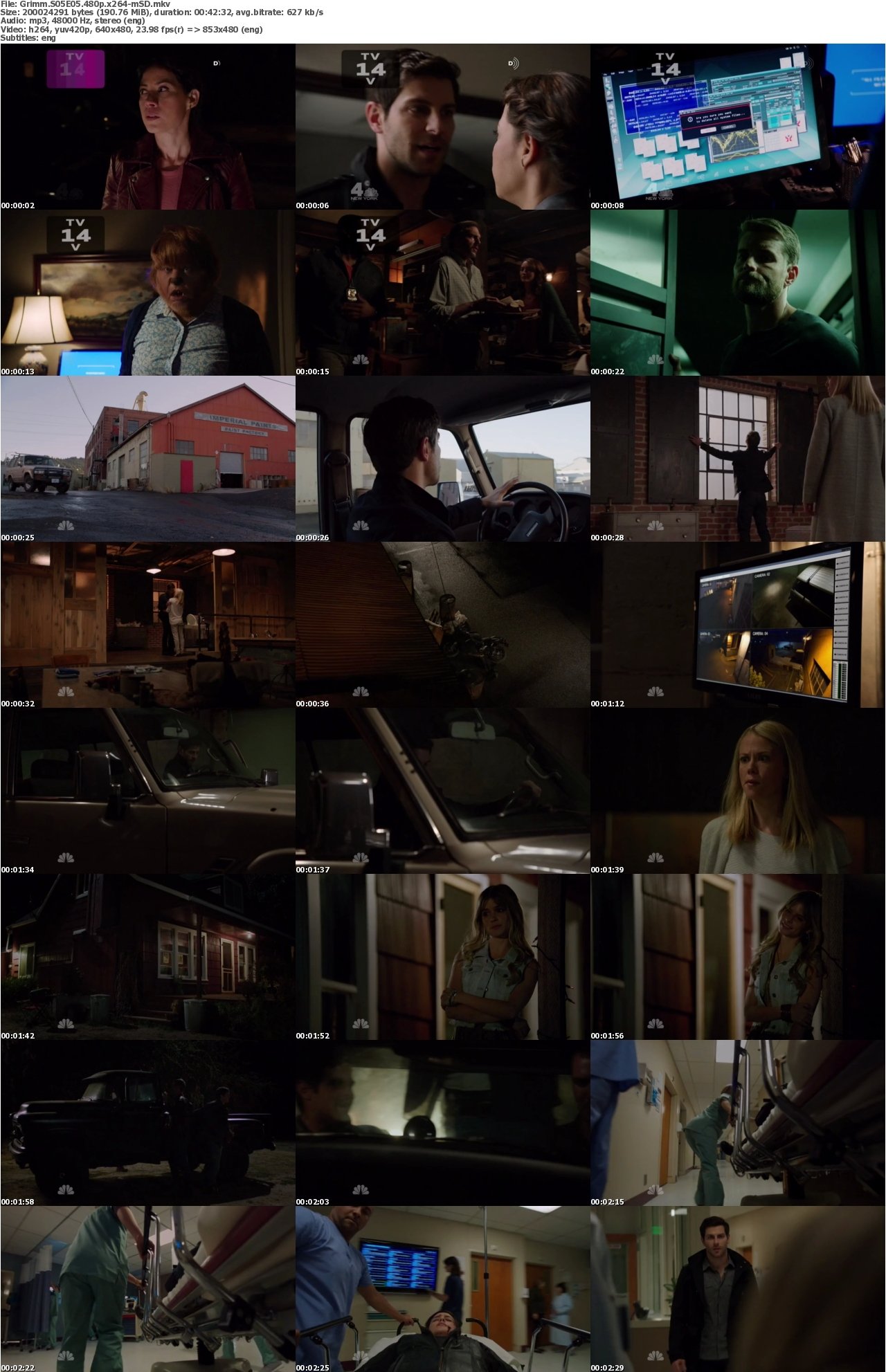 Grimm S05E05 480p x264-mSD