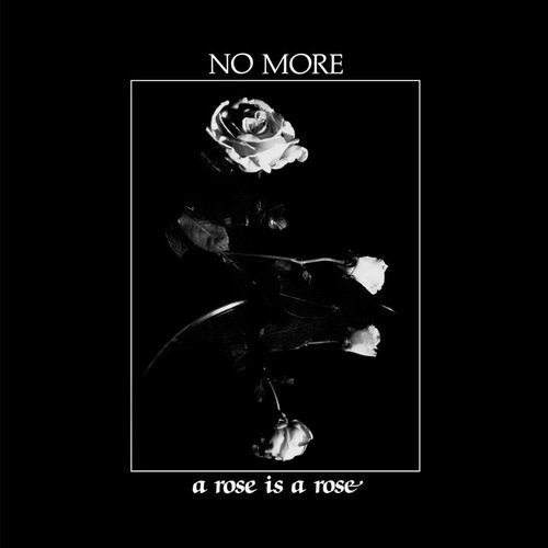 No More - A Rose Is a Rose (2015)