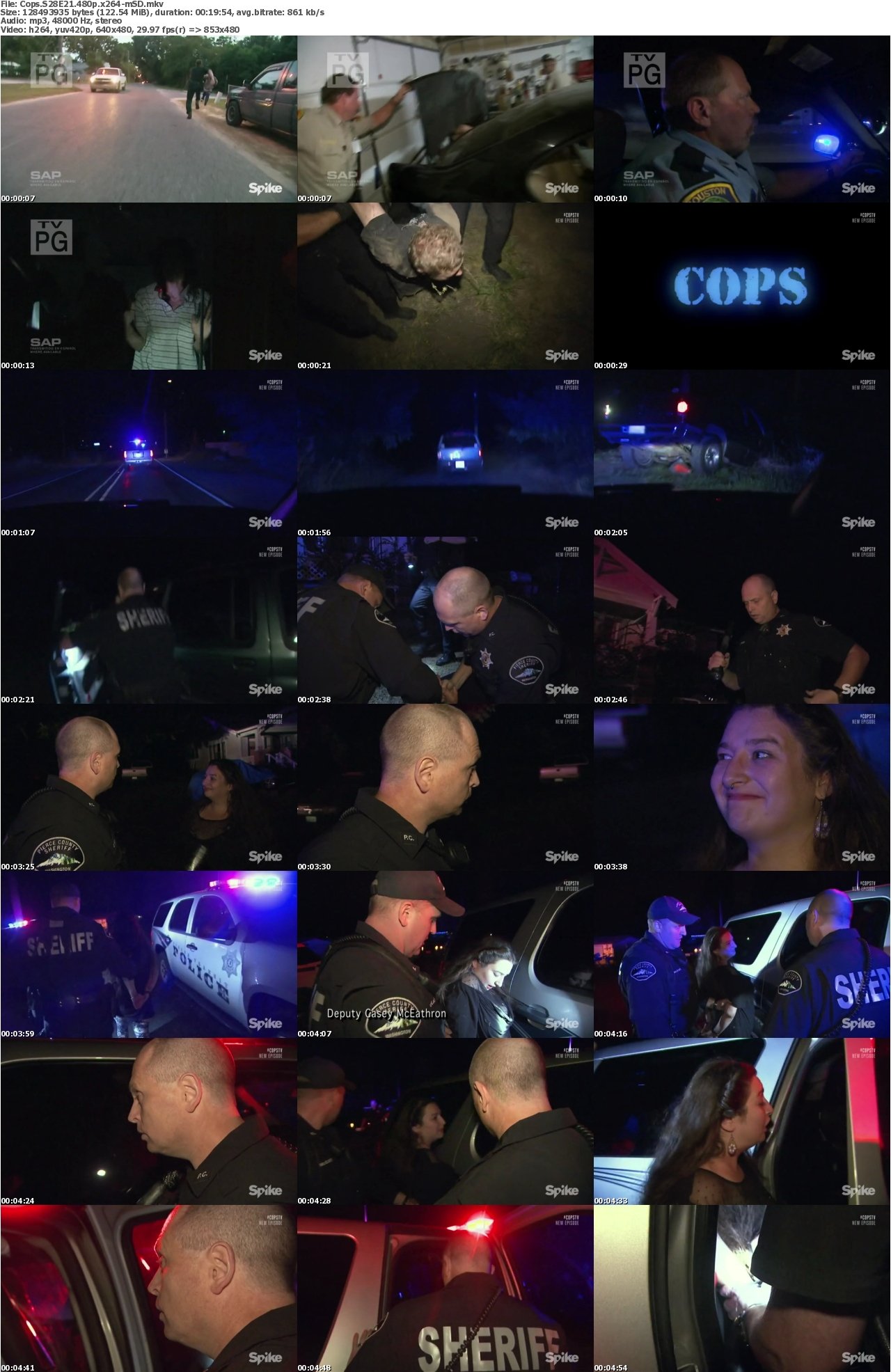 Cops S28E21 480p x264-mSD