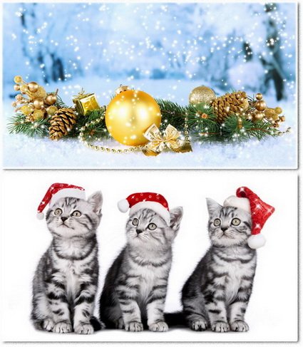 Wallpapers on a desktop - New Year