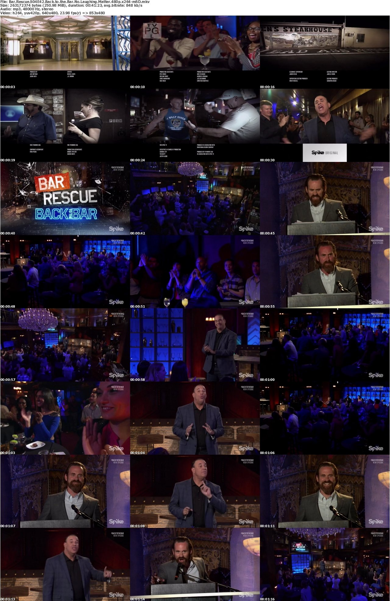 Bar Rescue S04E42 Back to the Bar No Laughing Matter 480p x264-mSD