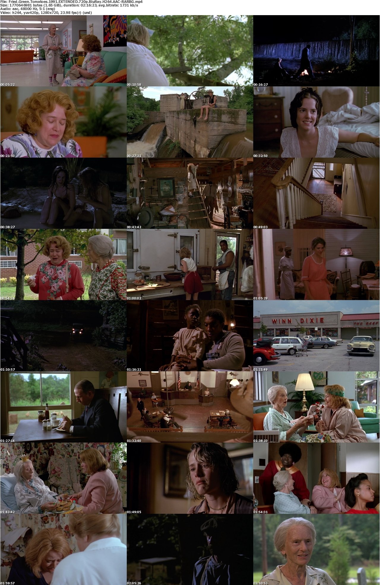 Fried Green Tomatoes 1991 EXTENDED 720p BluRay H264 AAC-RARBG