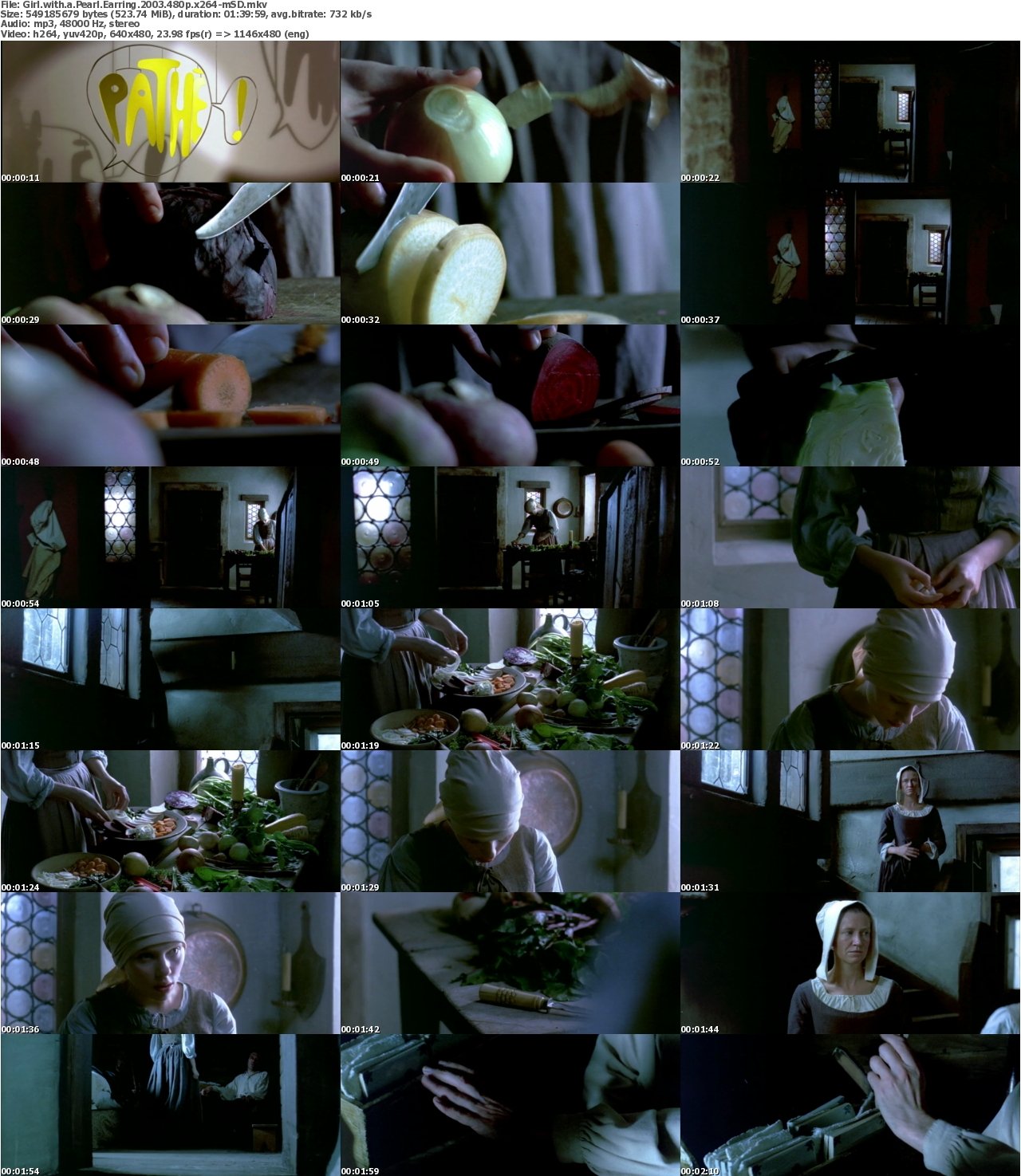 Girl with a Pearl Earring 2003 480p x264-mSD