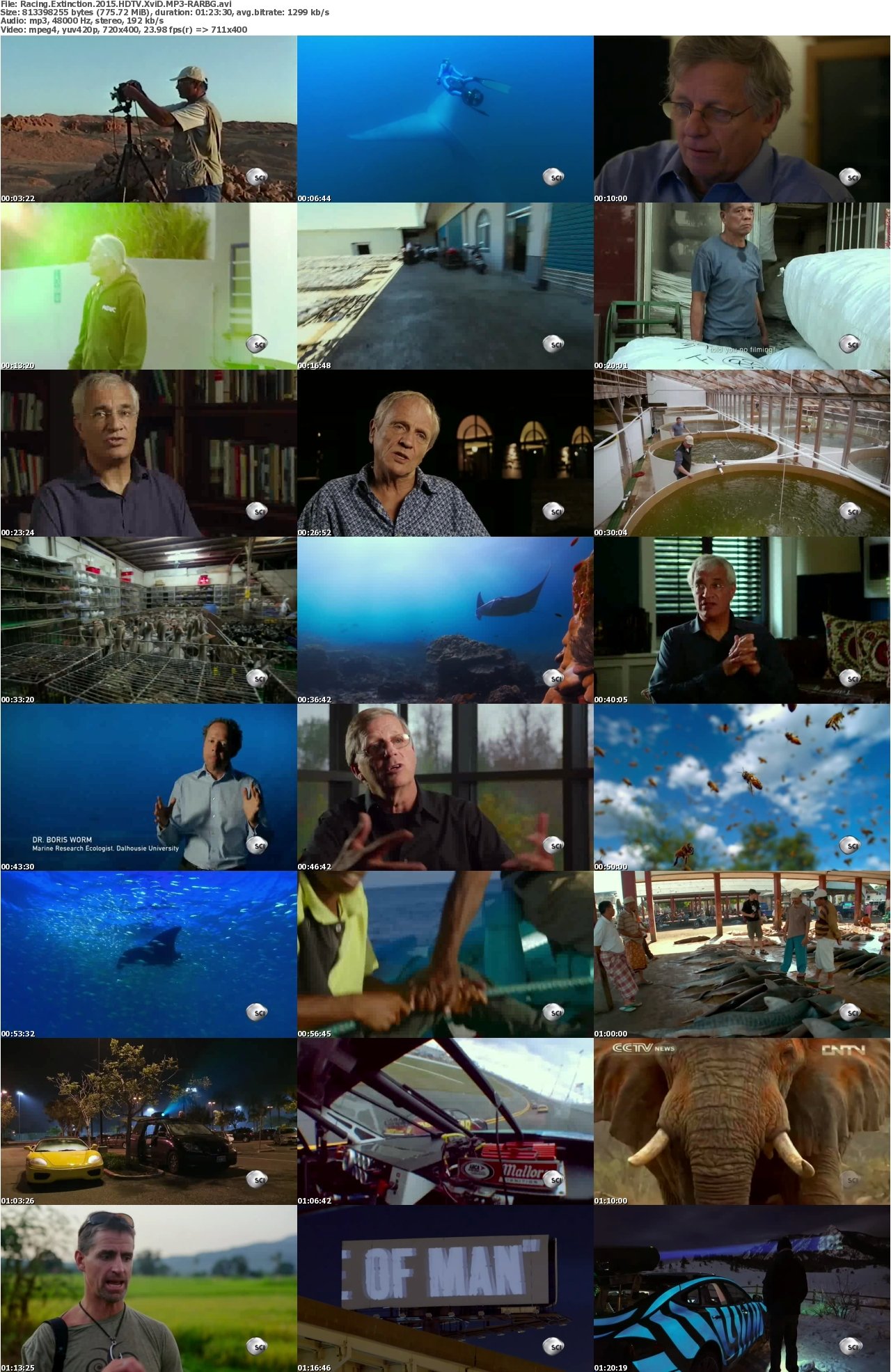 Racing Extinction 2015 HDTV XviD MP3-RARBG