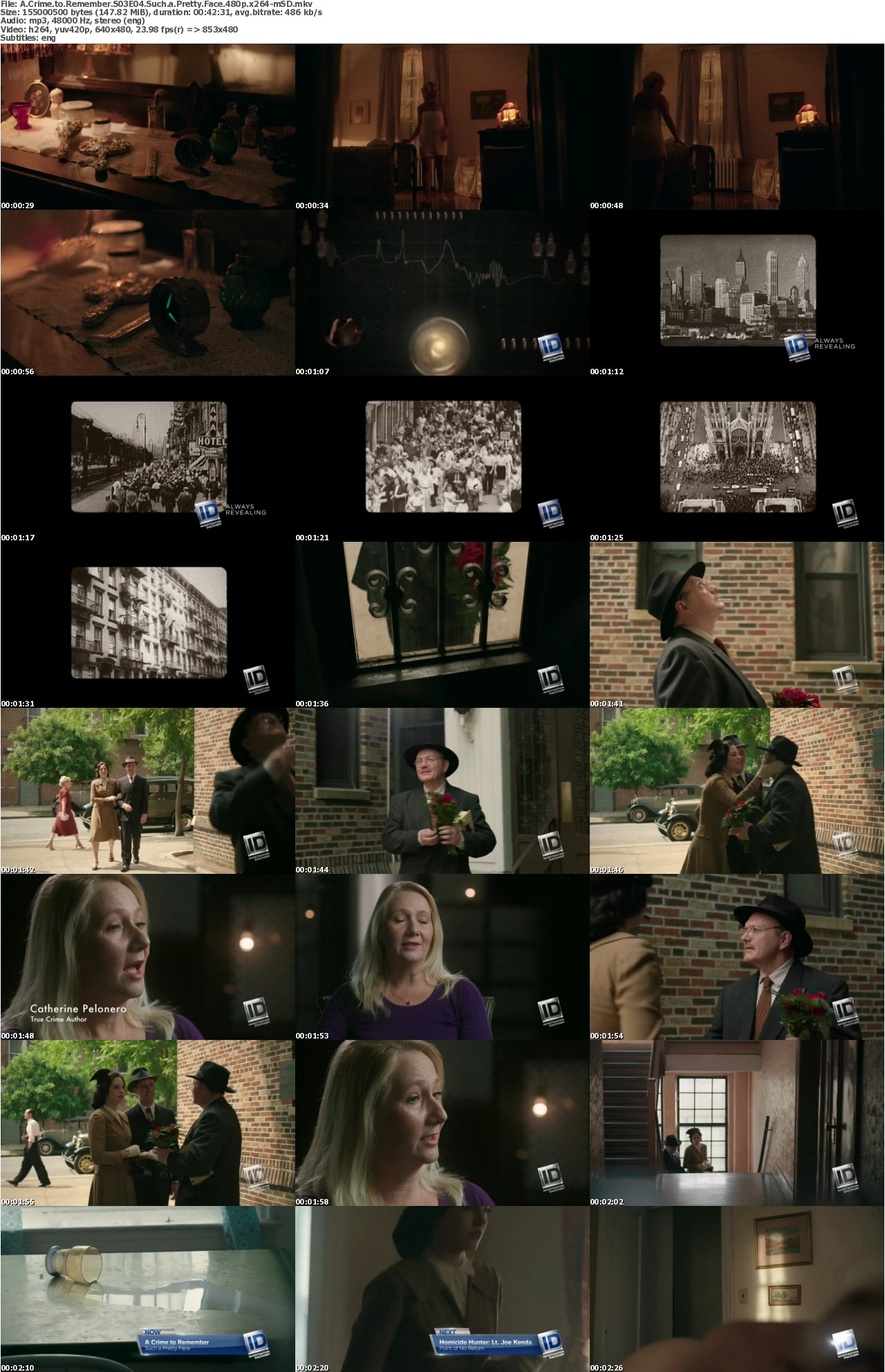 A Crime to Remember S03E04 Such a Pretty Face 480p x264-mSD