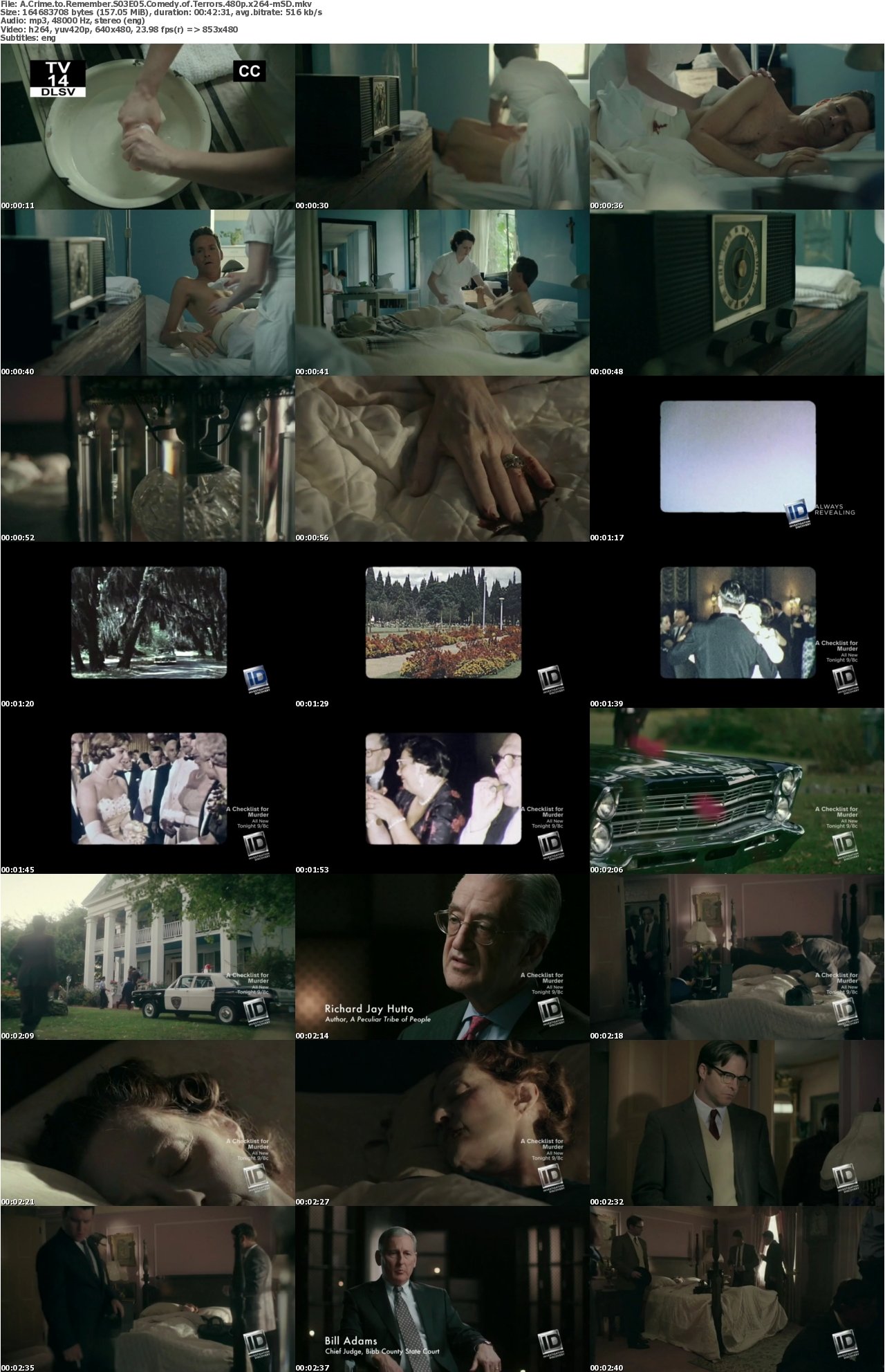 A Crime to Remember S03E05 Comedy of Terrors 480p x264-mSD