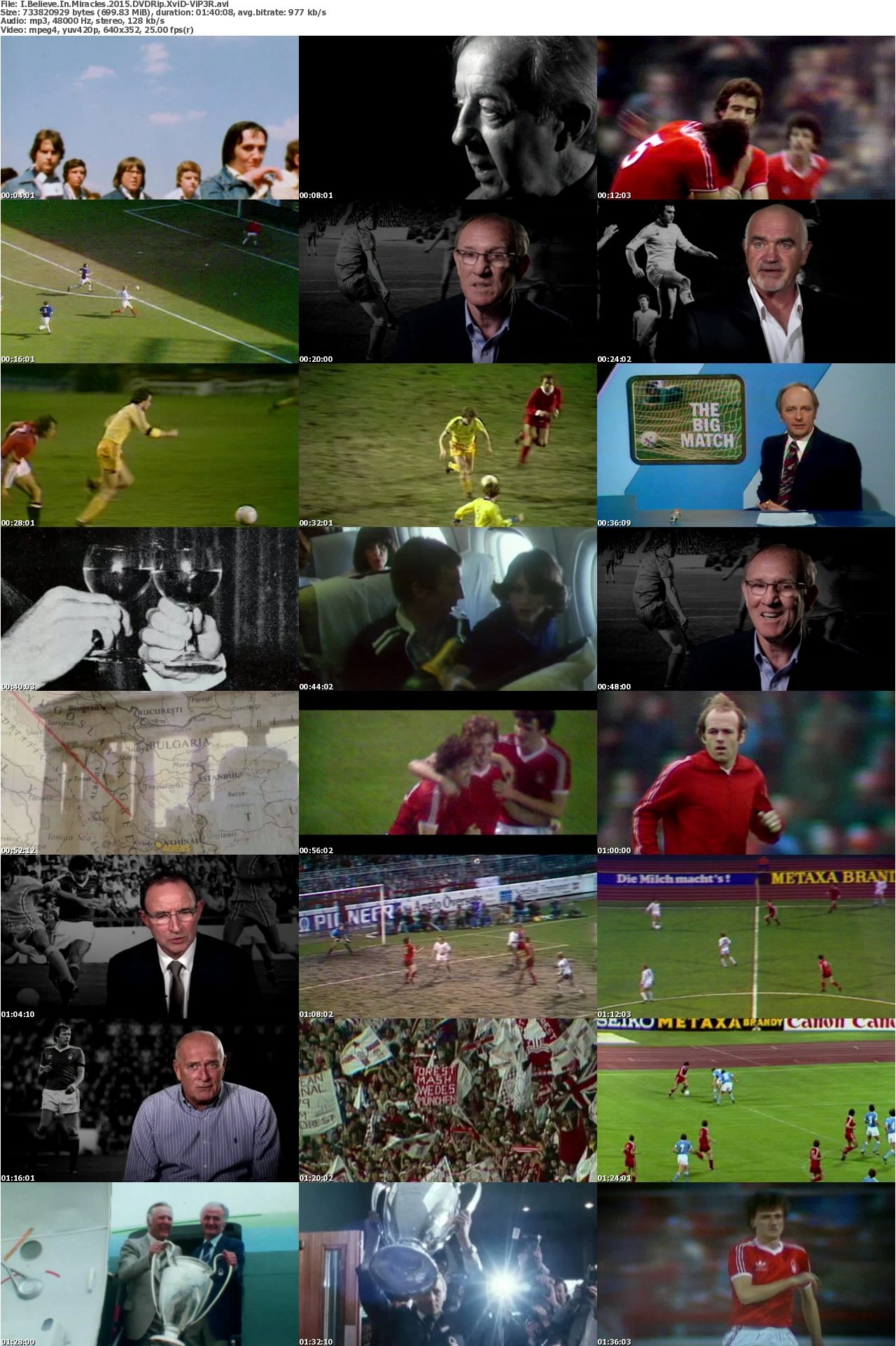 I Believe In Miracles 2015 DVDRip XviD-ViP3R