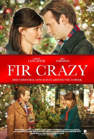 Fir Crazy 2013 480p x264-mSD