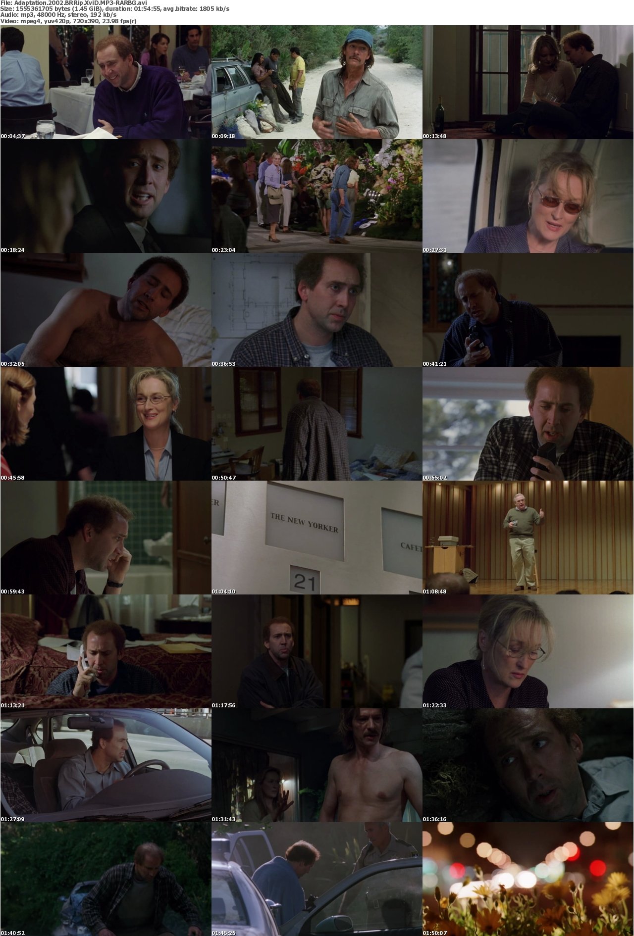 Adaptation 2002 BRRip XviD MP3-RARBG
