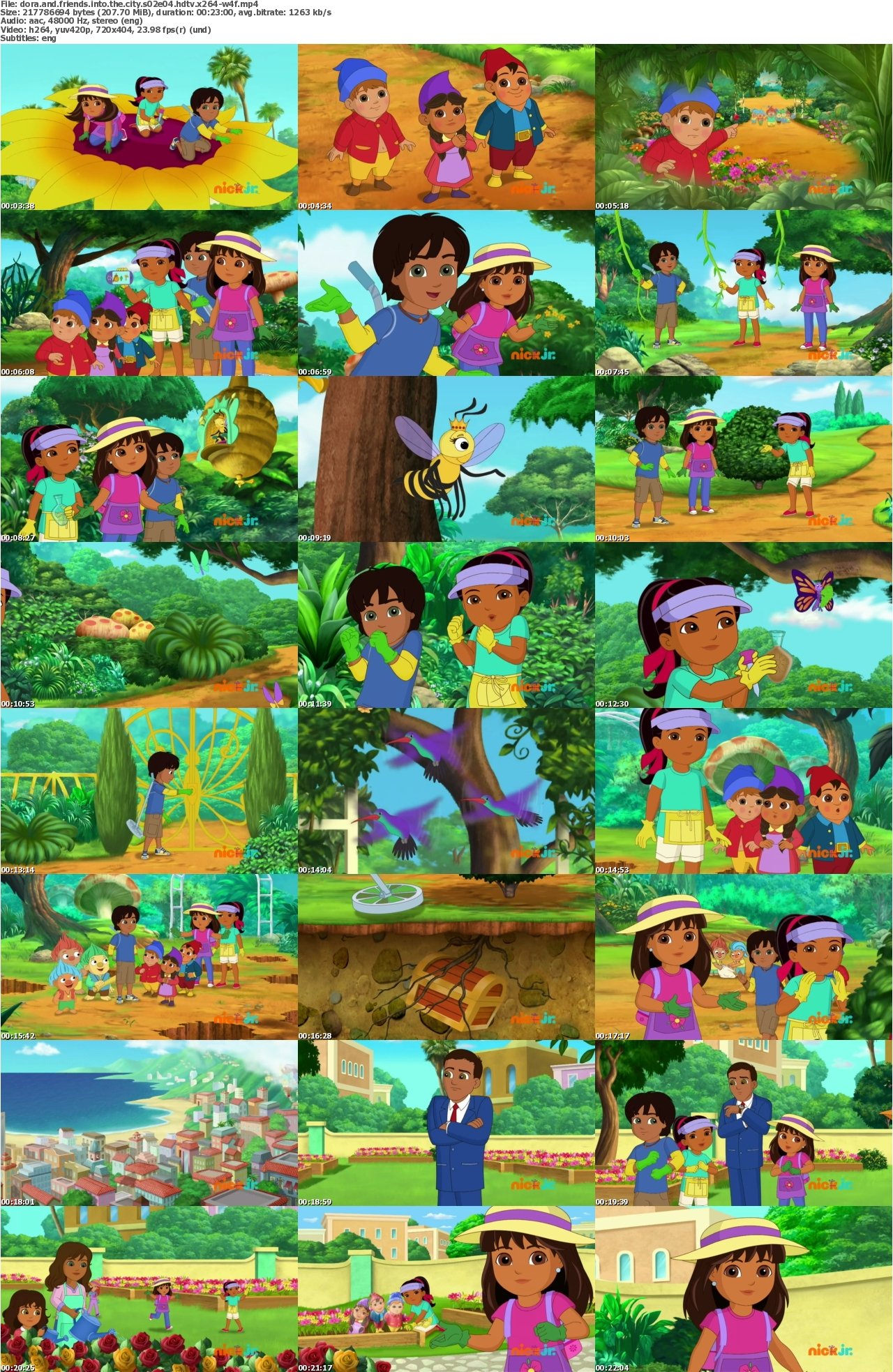 Dora and Friends Into the City S02E04 HDTV x264-W4F.