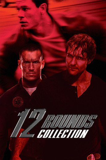 12 Rounds 2009 BRRip XviD MP3-RARBG